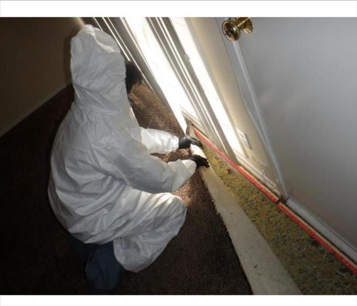 A water damage technician checking a carpet for water damage.