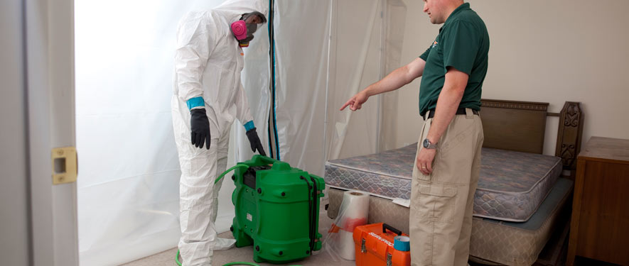 Glendale, CA mold removal process